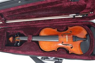 West Coat Strings Instruments Peccard V-8 Violin 1/4